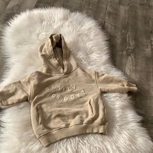 Zara tan hoodie